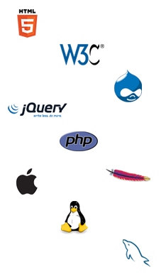 web development, ux research, ux design, drupal, cms